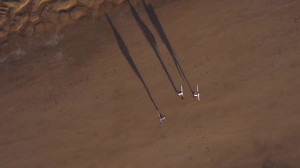 Surfeurs courant dans l'océan 