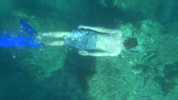 Mergulhador nadando debaixo de água — Vídeo de Stock