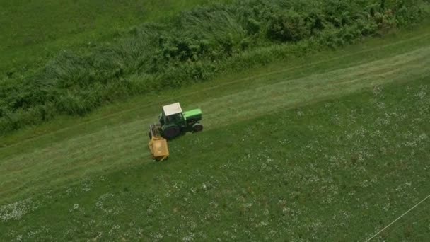 Traktor slåtter i ett fält — Stockvideo