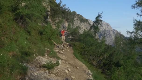 Senderistas en los Alpes Europeos — Vídeo de stock