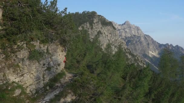 Wanderer in den europäischen Alpen — Stockvideo