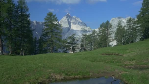 Pradera hacia las montañas — Vídeos de Stock