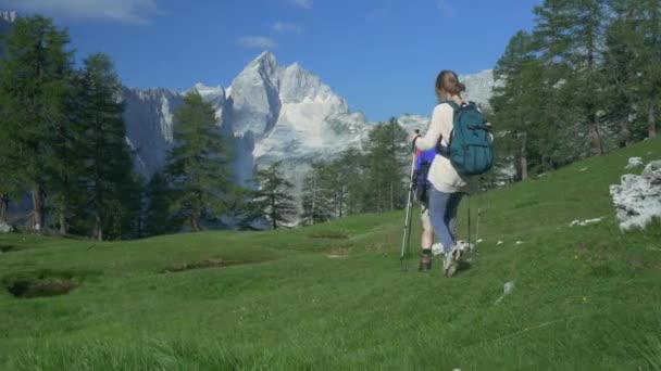 Ung vandrare i bergen — Stockvideo