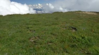 Uçuruma doğru Yeşil Vadi