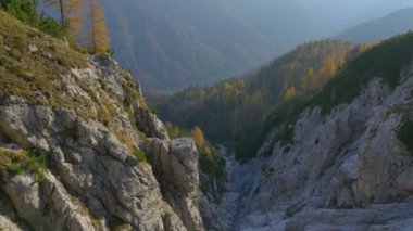 Sonbahar çam ağaçları dağ cliff yukarıda