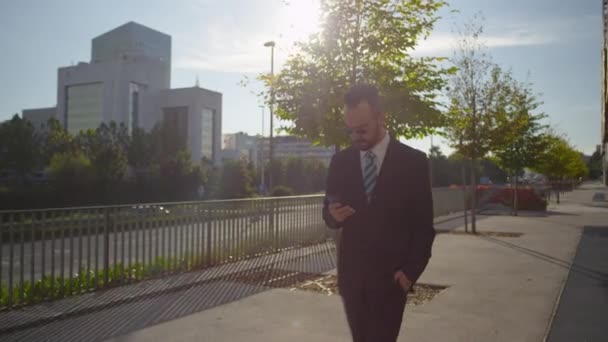 Businessman checking messages — Stock Video