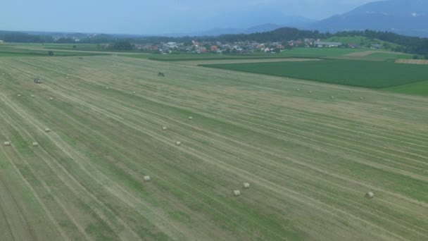 Bales of hay on a harvested field — Stock Video