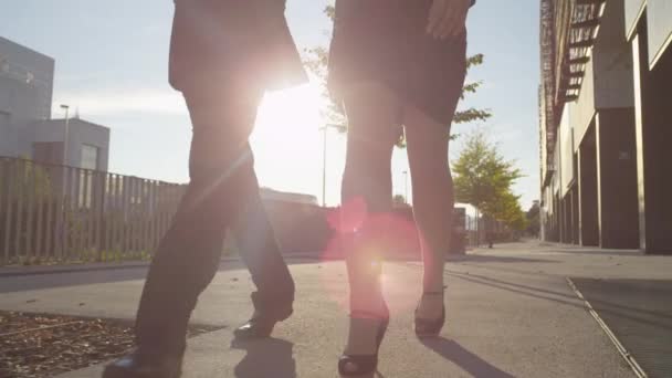 Businessman and businesswoman walking — Stock Video