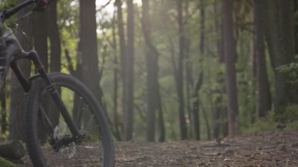 Biker equitazione attraverso la foresta — Video Stock