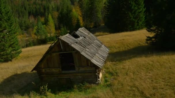 Gamla shepherd's hut på glade — Stockvideo