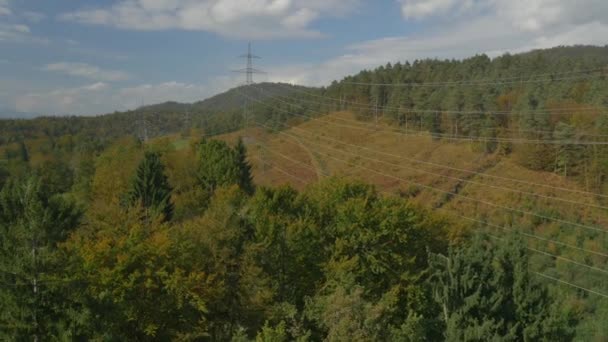 Instalação elétrica na floresta — Vídeo de Stock