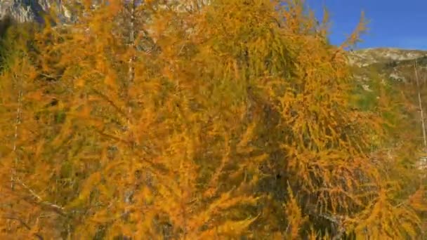 automne dans les montagnes