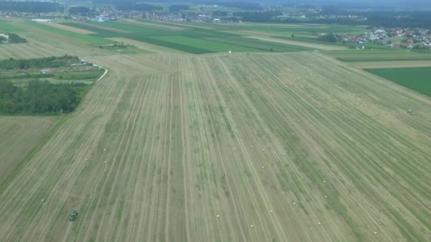 Amplios campos con fardos de heno — Vídeos de Stock