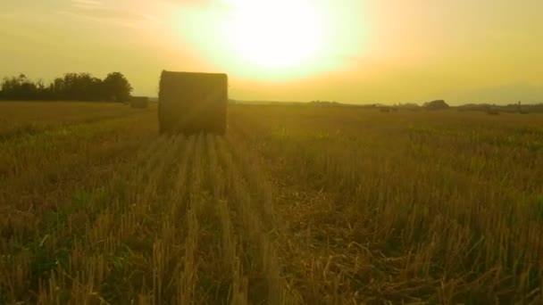 干し草のベール — ストック動画