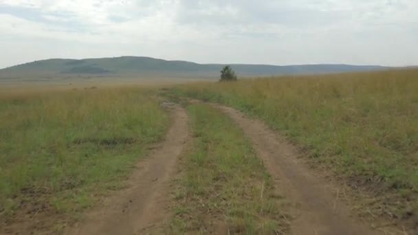 Водіння по ґрунтовій дорозі — стокове відео