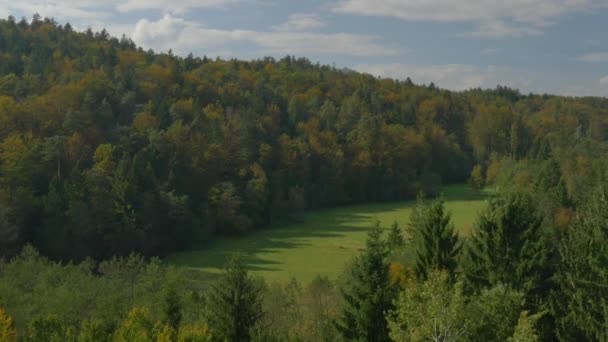 Casa de campo en un claro bosque — Vídeo de stock