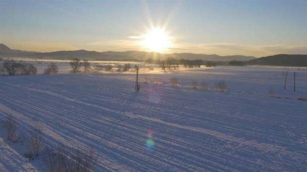 Snöiga fältet på vintern — Stockvideo
