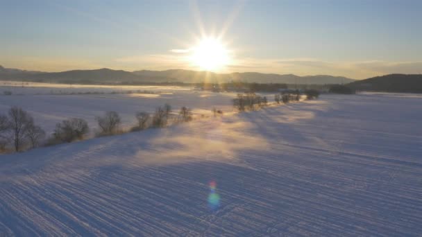 Campo nevado en invierno — Vídeos de Stock