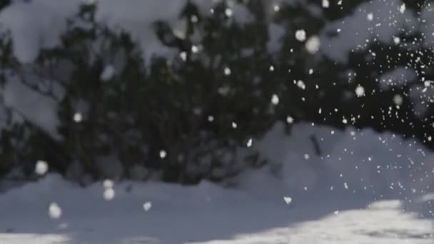 Sneeuwvlokken vallen in zonnige voorsteden — Stockvideo