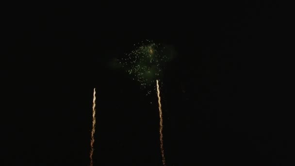 Fogos de artifício grandes de Ano Novo — Vídeo de Stock