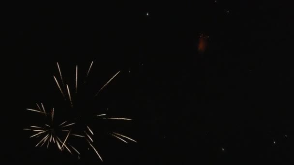 Fuegos artificiales en el cielo nocturno — Vídeos de Stock