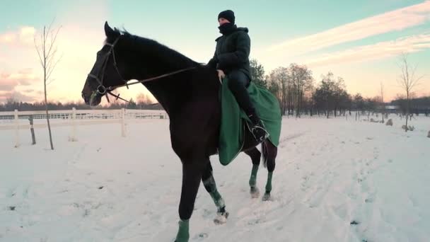 Woman riding big black horse in snow — Stock Video