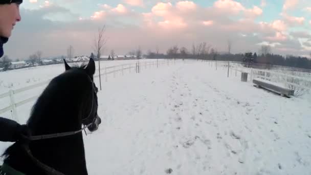 Woman cantering with big black horse — Stock Video