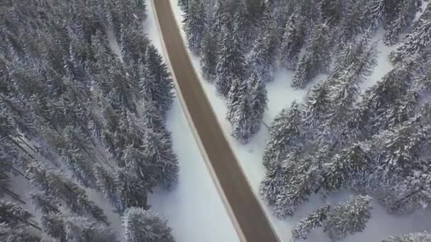 Пустой путь через снежный лес — стоковое видео