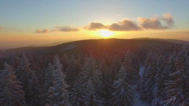 Vliegen over bevroren bos in de winter bij zonsondergang — Stockvideo