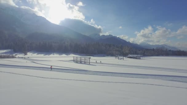 Esquí de fondo en campos nevados — Vídeo de stock