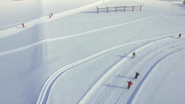 Cross country skidåkare på vintern — Stockvideo