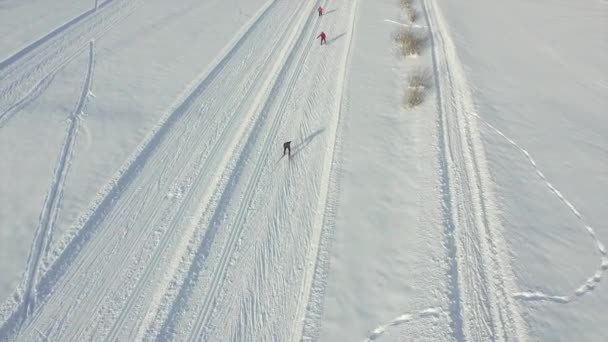 Människor längdskidåkning på vintern — Stockvideo