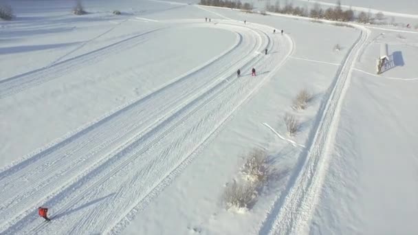 Cross-country skiing — Stock Video