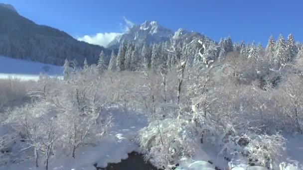 Fantastiska snöiga landskap på vintern — Stockvideo