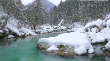 Zümrüt nehir karlı orman içinden çalışan