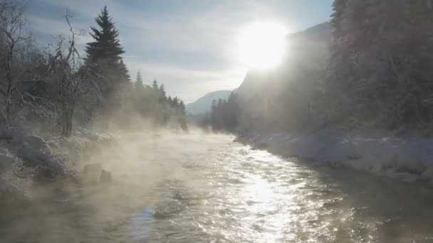 Nebliger Fluss im Wintermorgen — Stockvideo