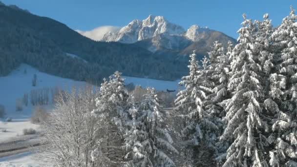 Rivier loopt door besneeuwde bergdal — Stockvideo