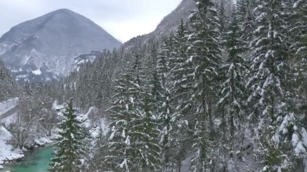 Schöner türkisfarbener Fluss im schneebedeckten Tal — Stockvideo