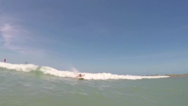 サーフィンをする方法を学んでいる若い女性 — ストック動画