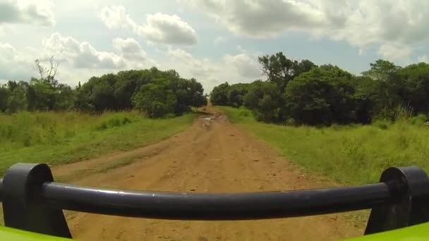 Driving through African Safari — Stock Video