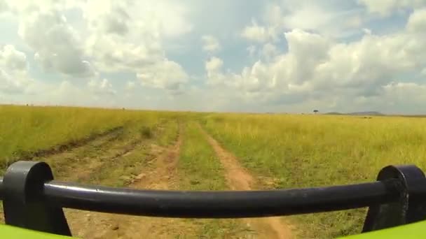 Driving through vast African safari — Stock Video