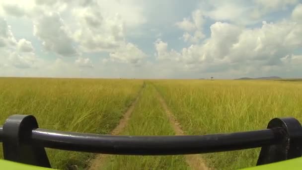 Jeep driving through Kenyan national park — Stock Video