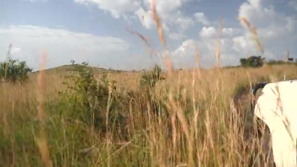 Conduire à travers safari africain avec une jeep — Video