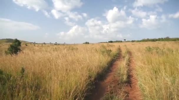 Toprak yol Afrika üzerinde sürüş — Stok video