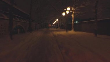Geceleri karlı ağaç avenue