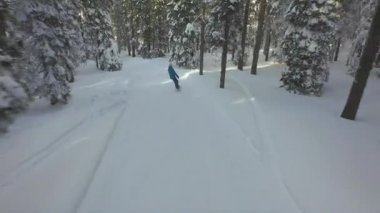Snowy orman yolu üzerinde snowboard