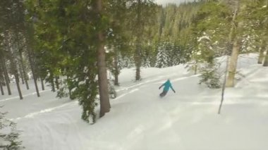 Karlı bir çam ormanı snowboard