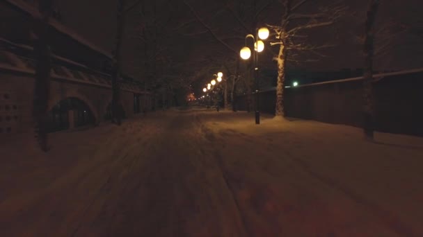 Snowy tree avenue at night — Stock Video