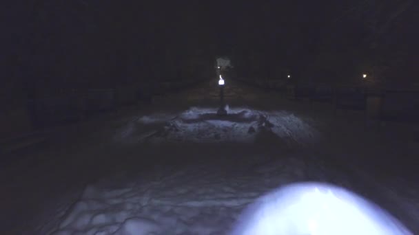 Viale di luce nel parco urbano invernale — Video Stock