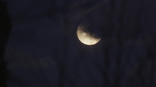 Nuvens escuras cobrindo uma lua cheia — Vídeo de Stock